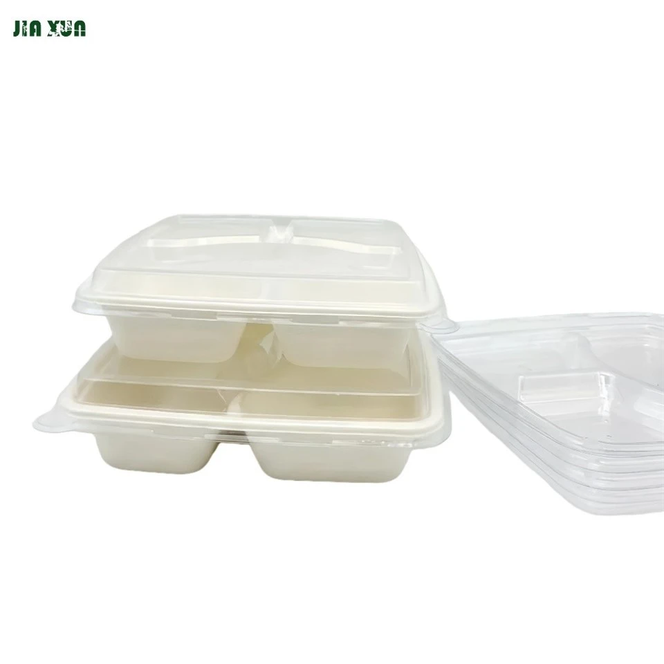 Sugarcane takeaway boxes with matching bagasse lid and PET lid options for secure food packaging.